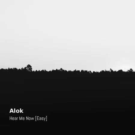 Alok - Hear Me Now - EASY [Partitura]