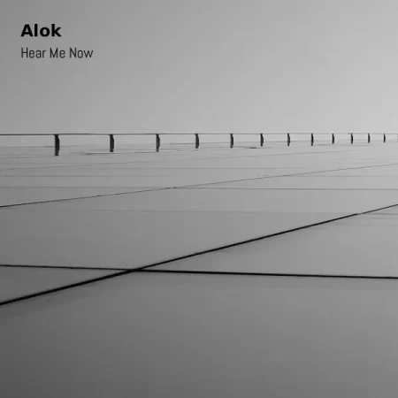 Alok - Hear Me Now [Partitura]